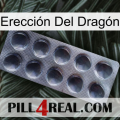 Erección Del Dragón 30